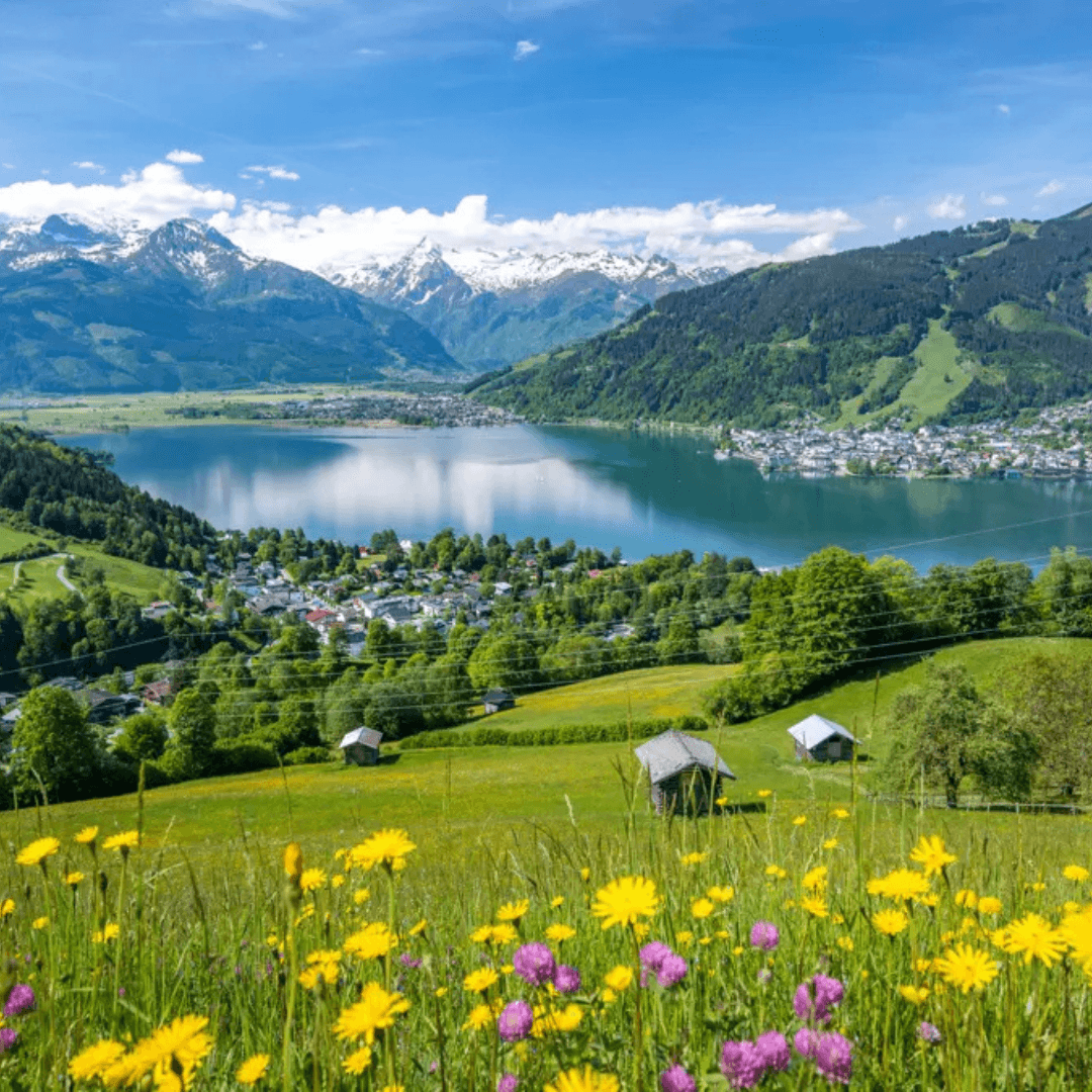 EuroMosaic-austria-13