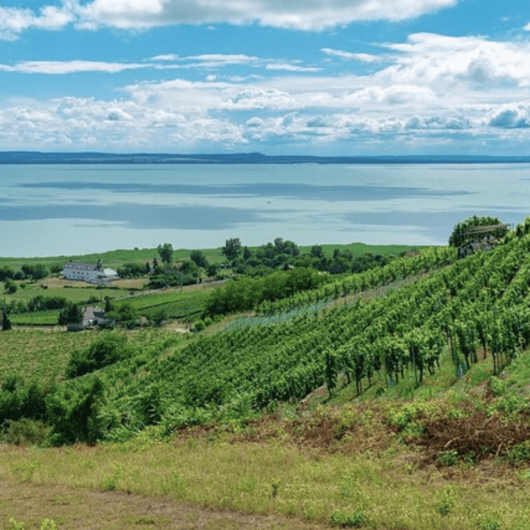 EuroMosaic-hungary-9